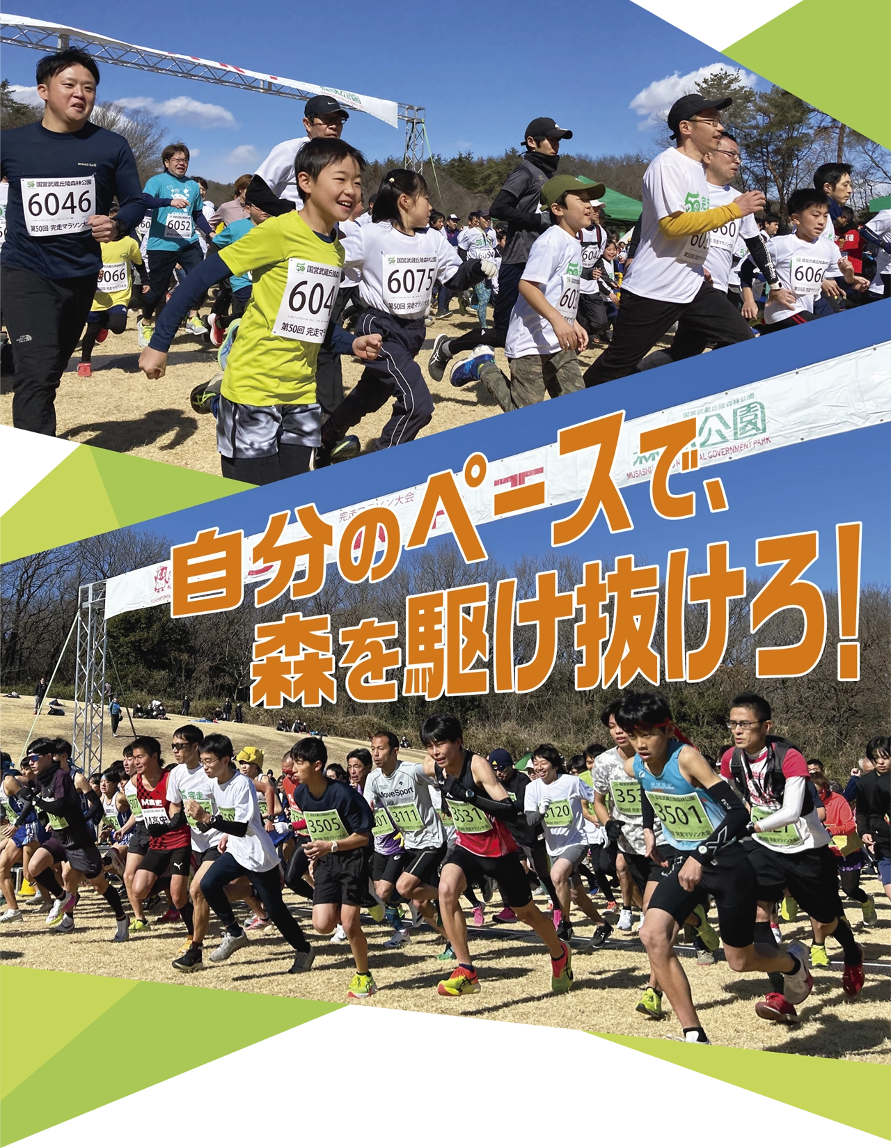 自分のペースで、森を駆け抜けろ！