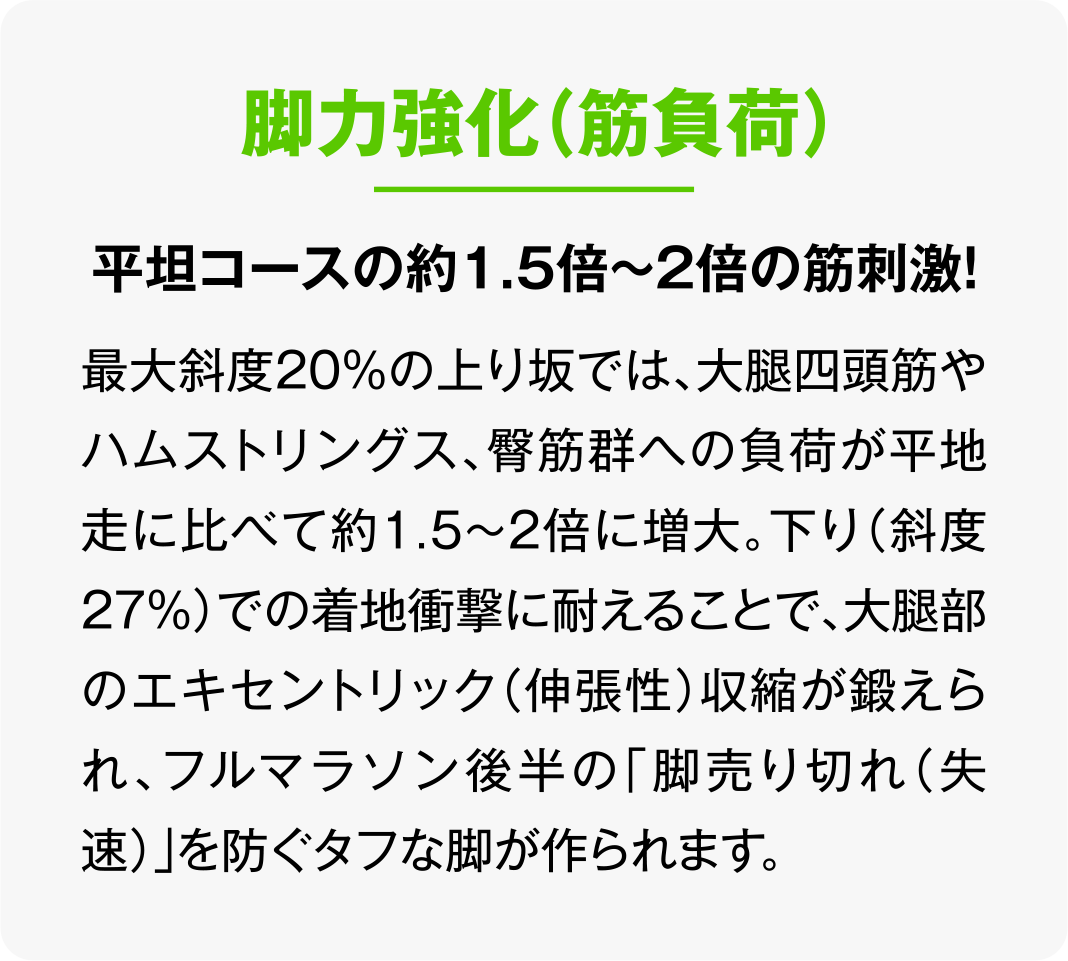 脚力強化（筋負荷）
